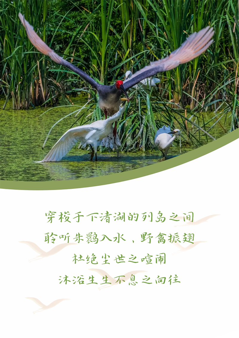 心心念廿 相伴ag贵宾厅 | 与德清相约 贺廿载诞辰